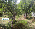 Продава КЪЩА, област Пловдив, с. Цар Калоян • 62580 € • 58434168 — Holmes.bg