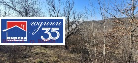 ����� ������� ������,���� �����, �-� �������