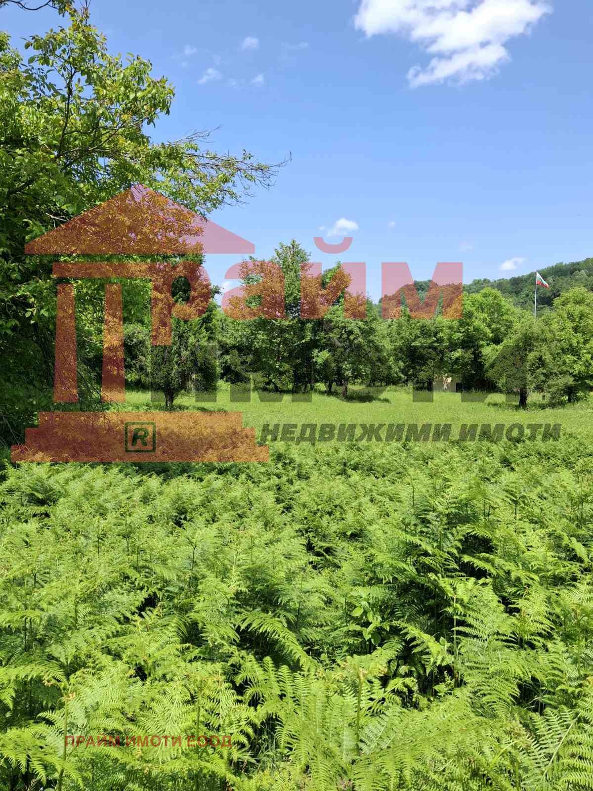 ������� ������ | Imot.bg � ����������� 5