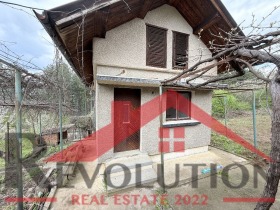 ����� ������� ����,�. ������, ������ ��������