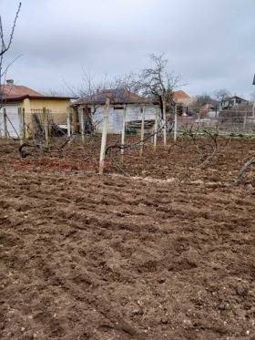 ������� ������ | Imot.bg � ����� ������ 7