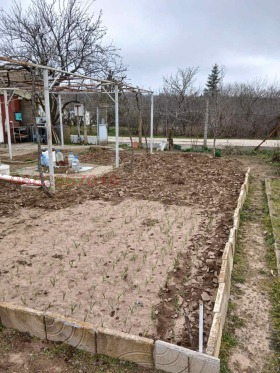 ������� ������ | Imot.bg � ����� ������ 8