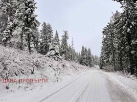 ������� ������ | Imot.bg � ����� ������ 5