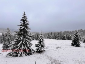 ������� ������ | Imot.bg � ����� ������ 3