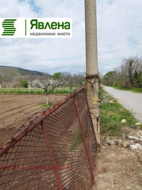 ����� ������� ������,�. ���������, ������ ����� ������