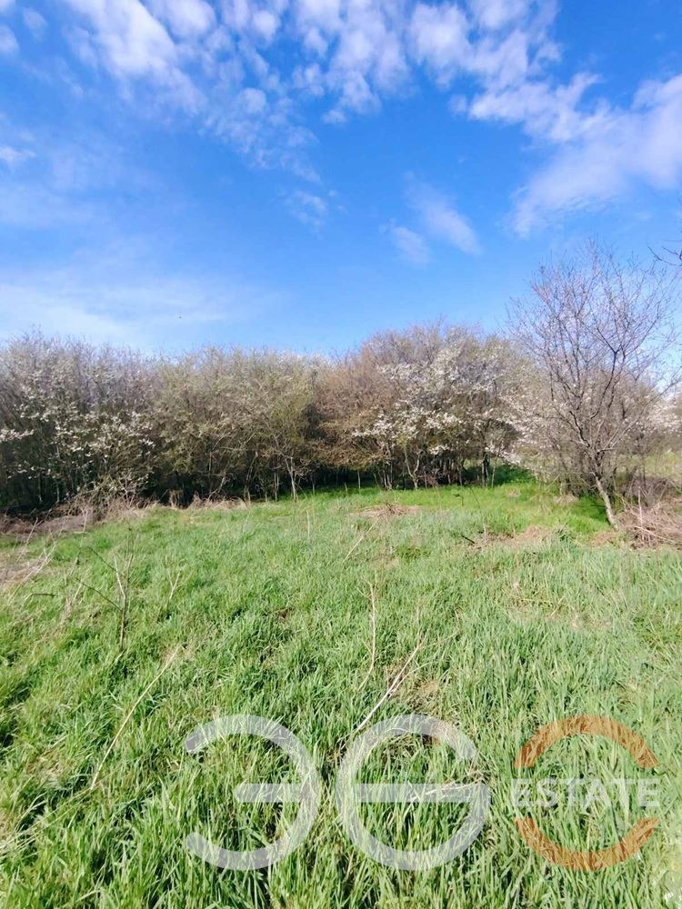 Продава КЪЩА, с. Стожер, област Добрич, снимка 11 - Къщи - 54368471