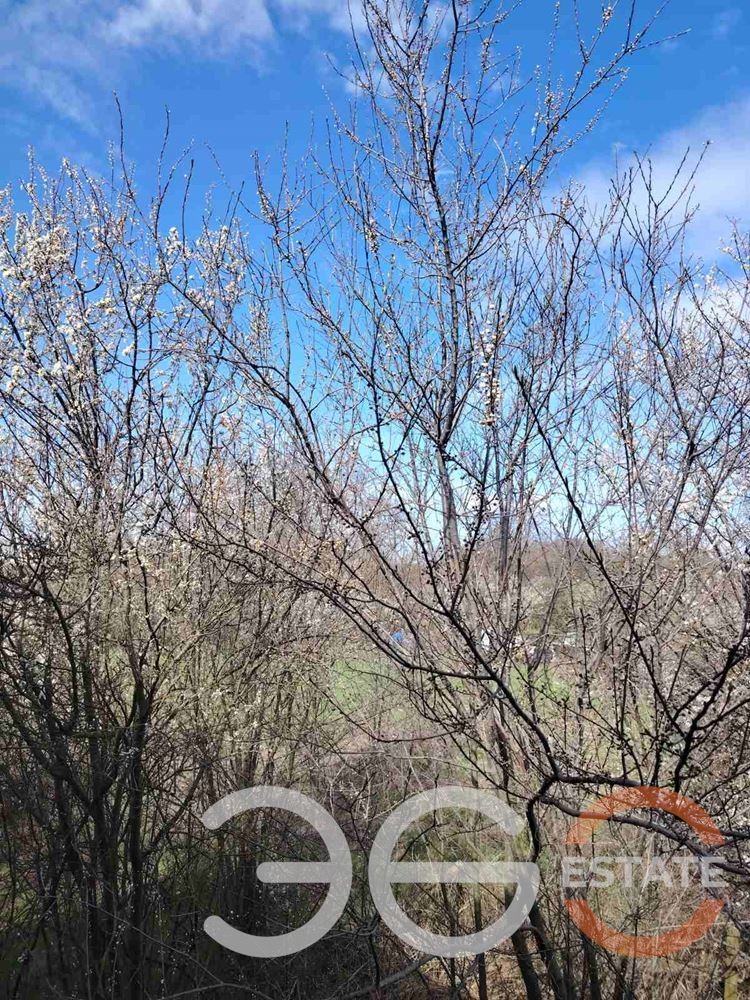 Продава КЪЩА, с. Стожер, област Добрич, снимка 15 - Къщи - 54368471