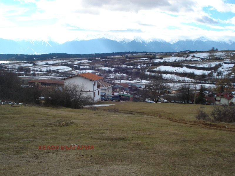 À vendre  Parcelle région Blagoevgrad , Gorno Draglichte , 683 m² | 51625733 - image [3]