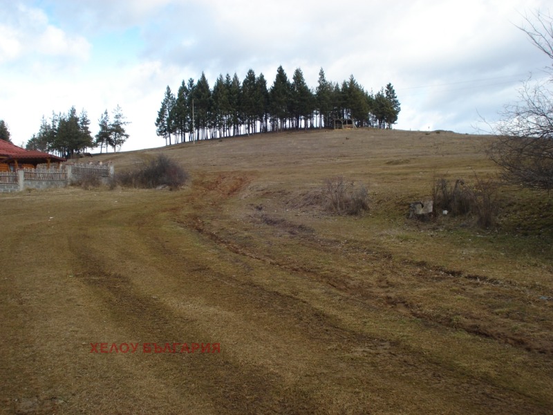 For Sale  Plot region Blagoevgrad , Gorno Draglishte , 683 sq.m | 51625733