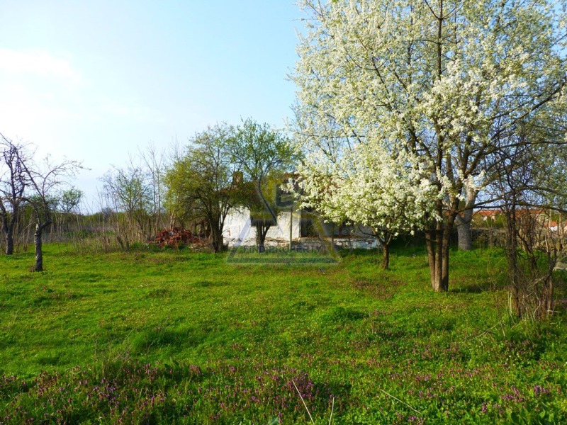 Продава ПАРЦЕЛ, с. Житосвят, област Бургас