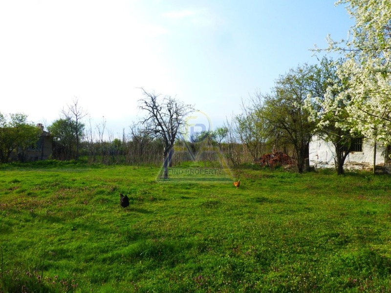 Продава ПАРЦЕЛ, с. Житосвят, област Бургас, снимка 5 - Парцели - 52119966