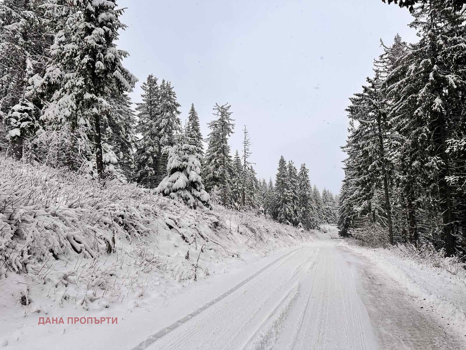 Продава ПАРЦЕЛ, с. Момчиловци, област Смолян, снимка 4 - Парцели - 54255033