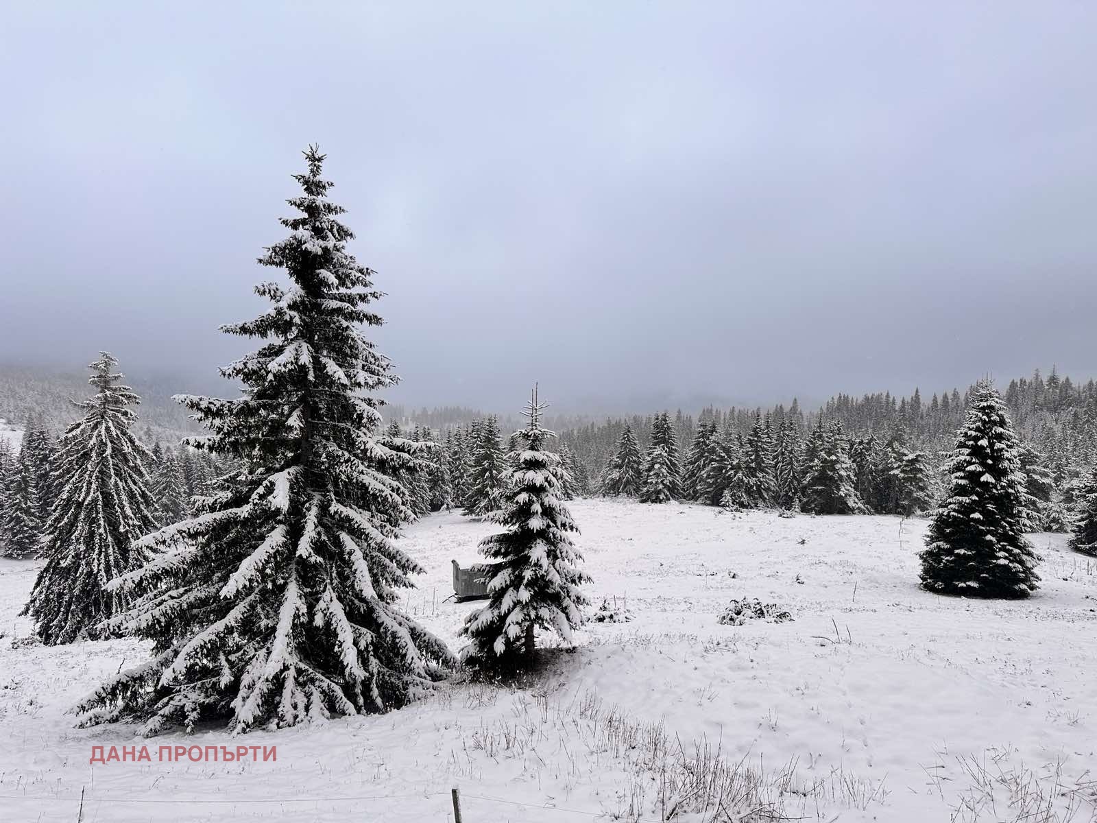 Продава ПАРЦЕЛ, с. Момчиловци, област Смолян, снимка 2 - Парцели - 54255033