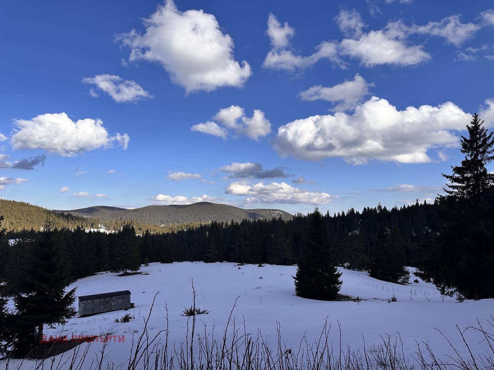 Продава ПАРЦЕЛ, с. Момчиловци, област Смолян, снимка 3 - Парцели - 54255033