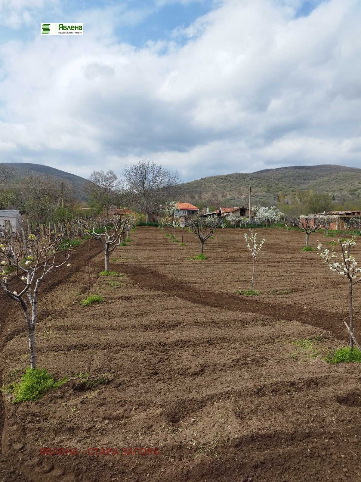 Продава ПАРЦЕЛ, с. Оряховица, област Стара Загора, снимка 3 - Парцели - 54281157