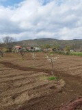 Продава ПАРЦЕЛ, с. Оряховица, област Стара Загора, снимка 2