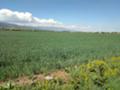 Продава ПАРЦЕЛ, град София, с. Лозен • 126600 € • 27694820 — Holmes.bg