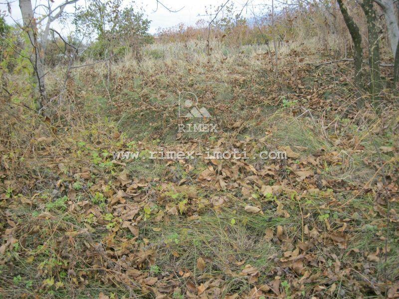 ������� ������ | Imot.bg � ����������� 13