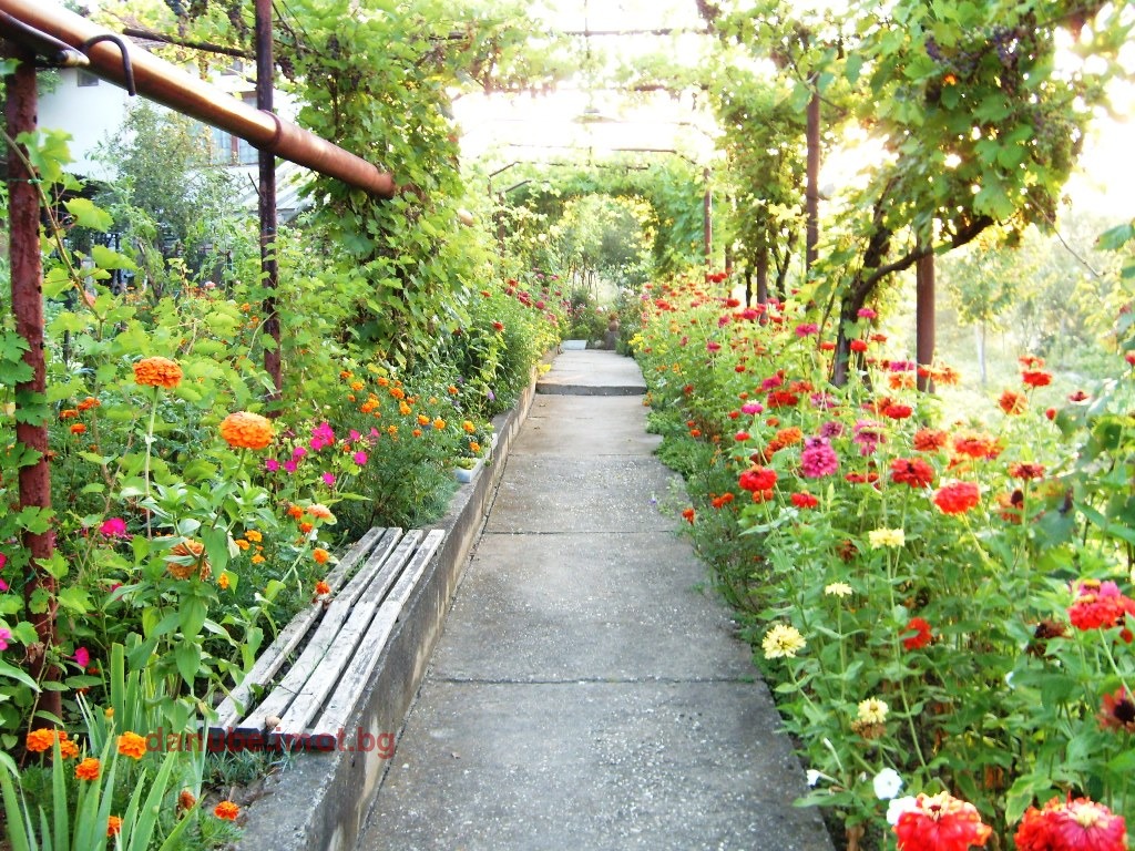 ������� ���� | Imot.bg � ����������� 4