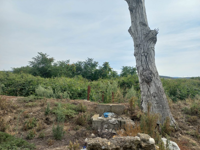 Till salu  Komplott region Plovdiv , Markovo , 6265 kvm | 25139795 - bild [2]