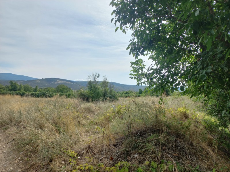 Till salu  Komplott region Plovdiv , Markovo , 6265 kvm | 25139795 - bild [3]