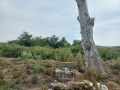 Продава ПАРЦЕЛ, област Пловдив, с. Марково • 228000 € • 51366416 — Holmes.bg