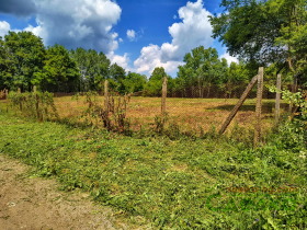 ������� ������ | Imot.bg � ����� ������ 6