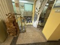 Продава ОФИС, гр. Варна, Център, снимка 2