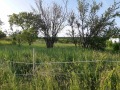 Продава ПАРЦЕЛ, област Варна, с. Сладка вода • 26500 лв. • 42287371 — Holmes.bg