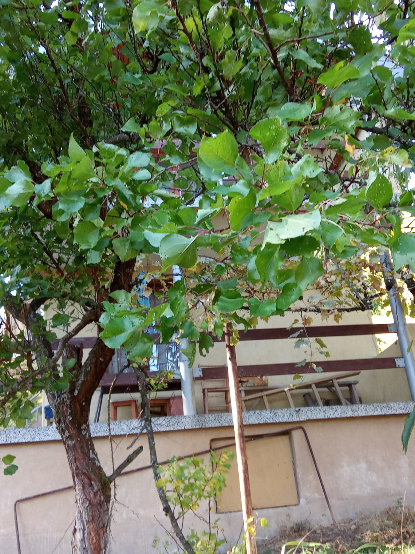 ������� ���� | Imot.bg � ����������� 7