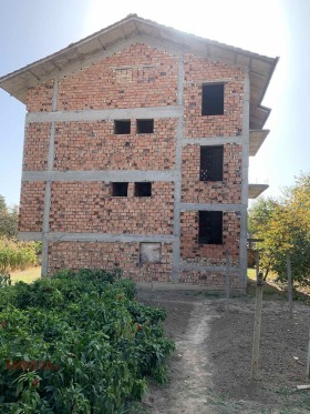 Hus Grivitsa, region Pleven 1