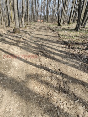 ������� ���� | Imot.bg � ����� ������ 12
