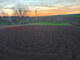 ������ ������� ������