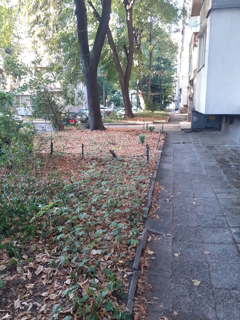 Продава  3-стаен град София , Бъкстон , 76 кв.м | 15664531 - изображение [16]