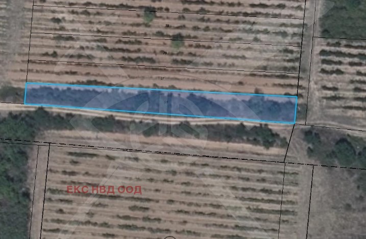 Продава  Парцел, област Пловдив, с. Мътеница • 8 720 EUR • ID 52970159 — holmes.bg - [1] 