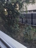 Продава 3-СТАЕН, град София, Бъкстон • 200000 € • 28039310 — Holmes.bg