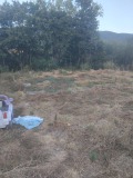 Продава ПАРЦЕЛ, с. Мирово, област София област, снимка 4