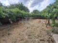 Продава КЪЩА, област Добрич, с. Ведрина • 55000 лв. • 92263204 — Holmes.bg