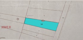 ����� ������� ������,���� �����, �������