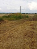 Продава ЗЕМЕДЕЛСКА ЗЕМЯ, с. Лесново, област София област, снимка 2