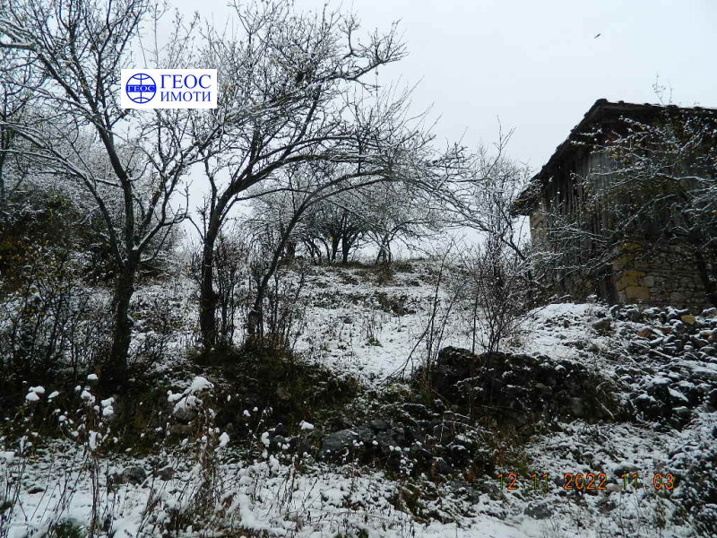 Продава ПАРЦЕЛ в област Смолян, с. Гела - 4878 кв.м / 87 804 € » 171 729.70 лв., ГЕОС ИМОТИ ЕООД