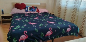 ������� 3-����� | Imot.bg � ����� ������ 7