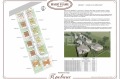 Продава  Къща област Варна , с. Калиманци , 149 кв.м | 61886770 - изображение [10]