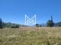 Продава  Земеделска земя област София , с. Антон , 12.3 дка | 54595572 - изображение [12]