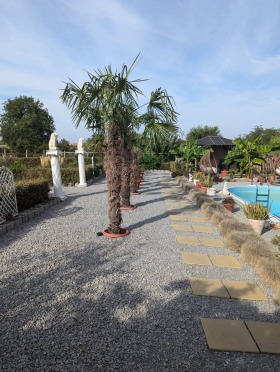 ������� ���� | Imot.bg � ����� ������ 4