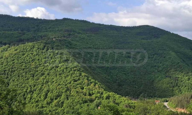 Προς πώληση  σπίτι περιοχή Σόφια , Βατυληια , 130 τ.μ | 92546349 - εικόνα [3]