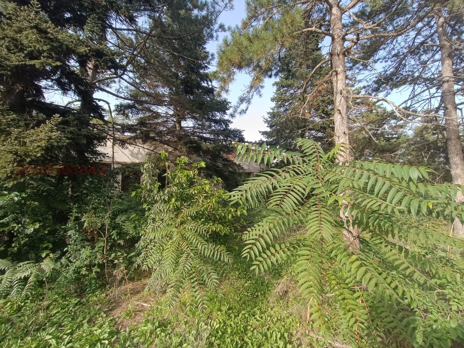 Продава ПАРЦЕЛ, с. Сърнино, област Добрич, снимка 6 - Парцели - 56157582