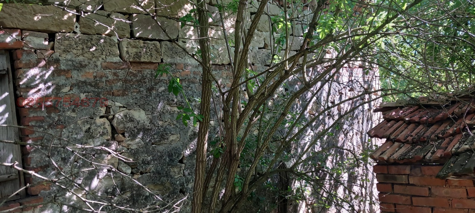 ������� ���� | Imot.bg � ����������� 11