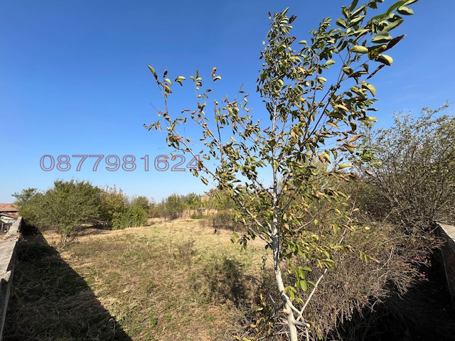 Продава ПАРЦЕЛ, с. Обнова, област Плевен, снимка 10 - Парцели - 53260978