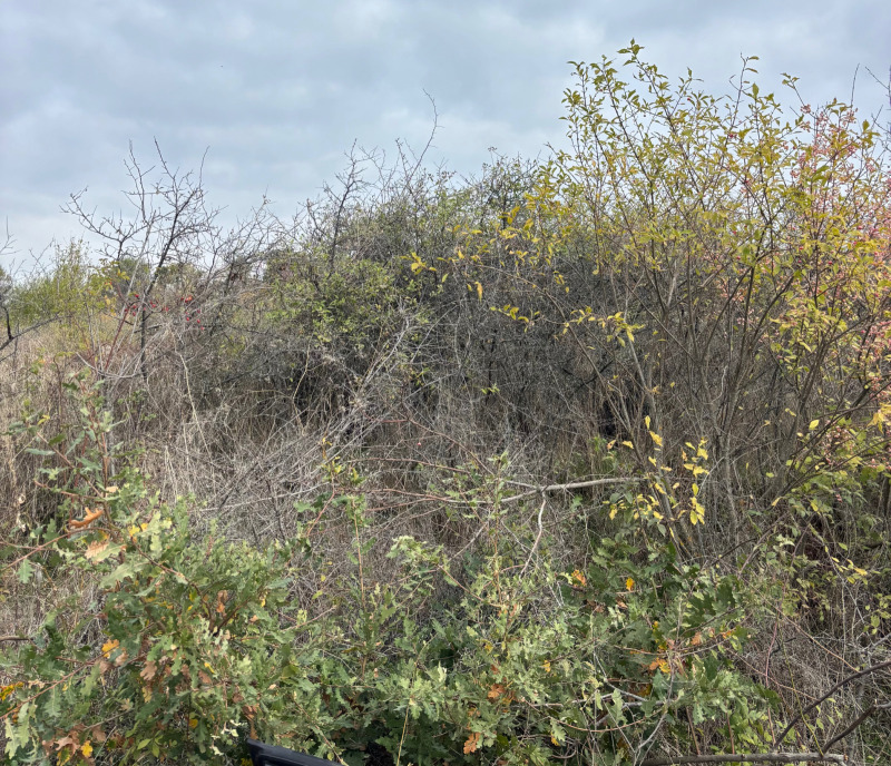 Продава ПАРЦЕЛ, с. Малка Верея, област Стара Загора